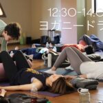 11/15(土)WS開催！【ヨガニードラWS】